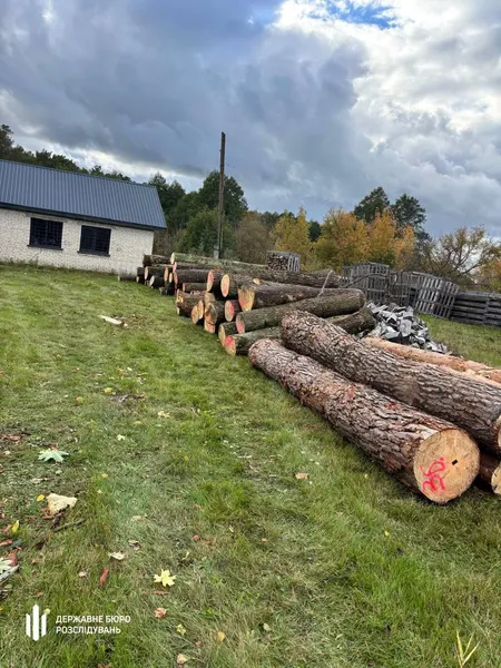 На Волині ДБР повідомило про підозру лісничому за незаконні рубки зі збитками понад 6,5 млн грн (фото)