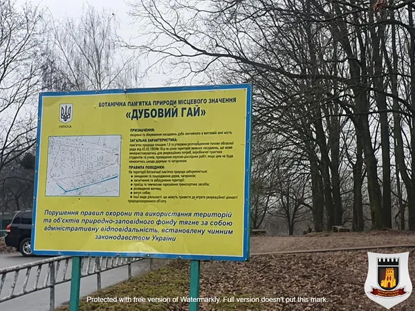 Зламані ліхтарі та пошкоджені лавки: «Дубовий гай» у Луцьку візьмуть під відеонагляд (фото)