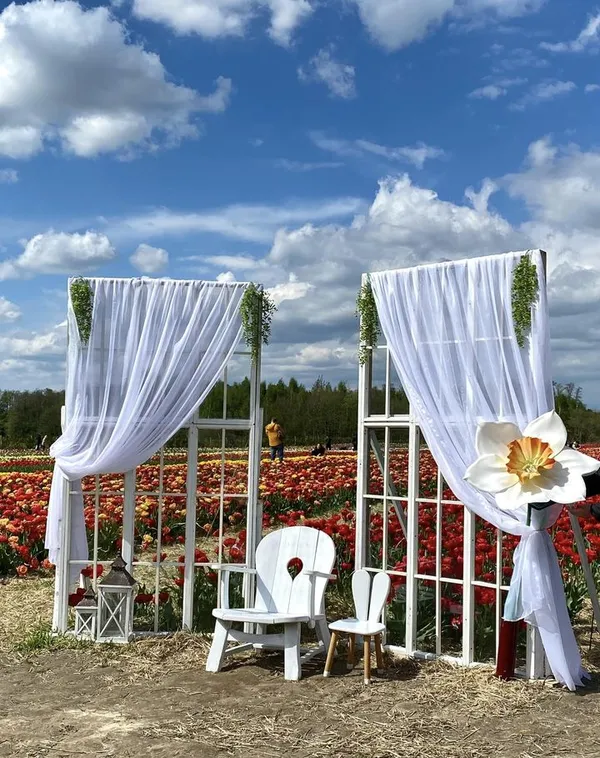 Гоу по світлини: у «Волинській Голландії» облаштували крутезні фотозони (фото)