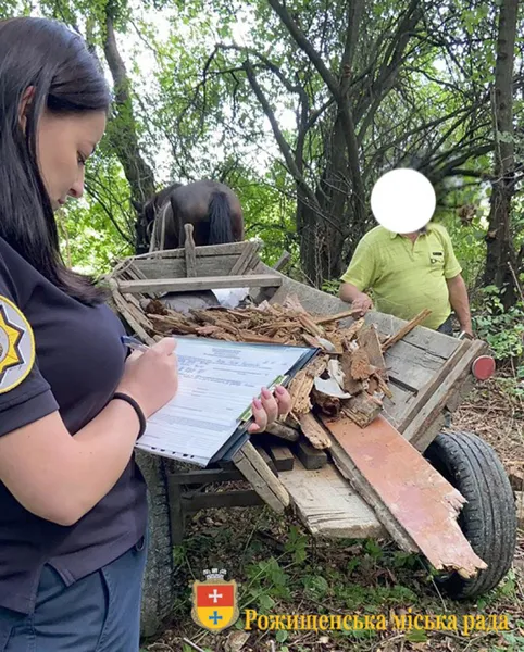 Не знали, куди дівати: у Рожищі вивезли сміття в лісосмугу (фотофакт)
