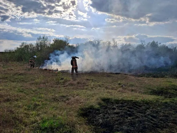 Вогняний понеділок на Волині: рятувальники ліквідували чотири пожежі в екосистемах (фото)