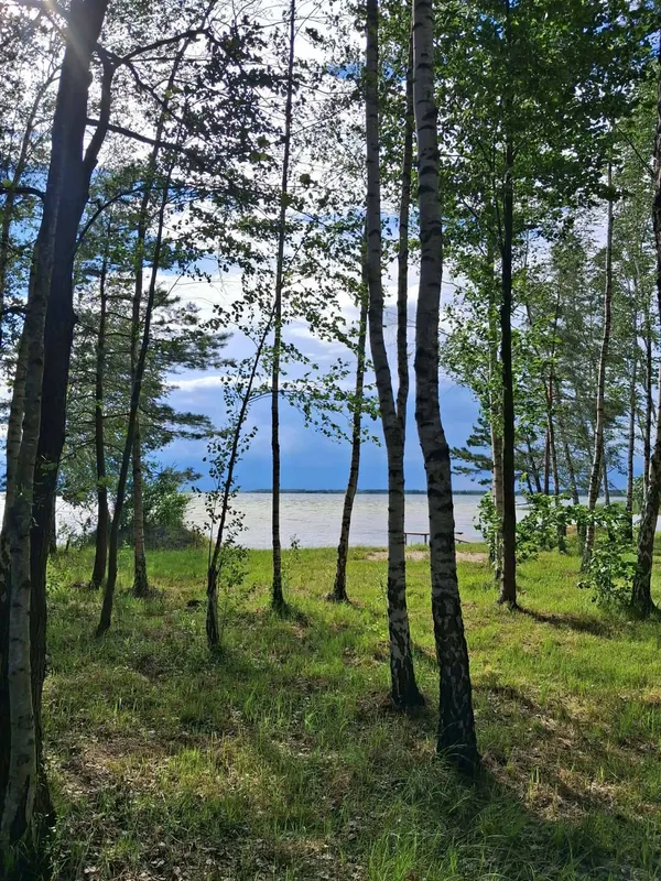 Світязь вразив незвичним видовищем: вода в озері стала схожою на рідке срібло (фото)