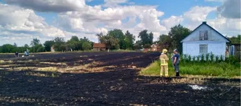На Рівненщині під час спалювання стерні загинула 90-річна жінка (фото)
