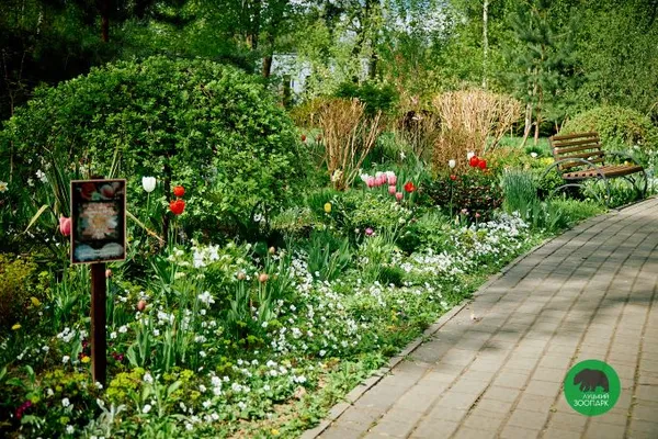 Луцький зоопарк працюватиме довше: новий графік (фото)