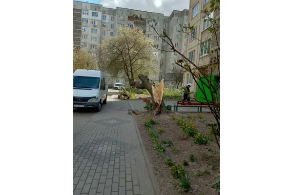 Повалені дерева і зірвані дахи: у Луцькій громаді ліквідовують наслідки буревію (фото)