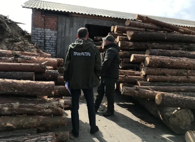 Сім обшуків – понад 700 кубів лісу: на Волині знайшли сумнівну деревину (фото, відео)
