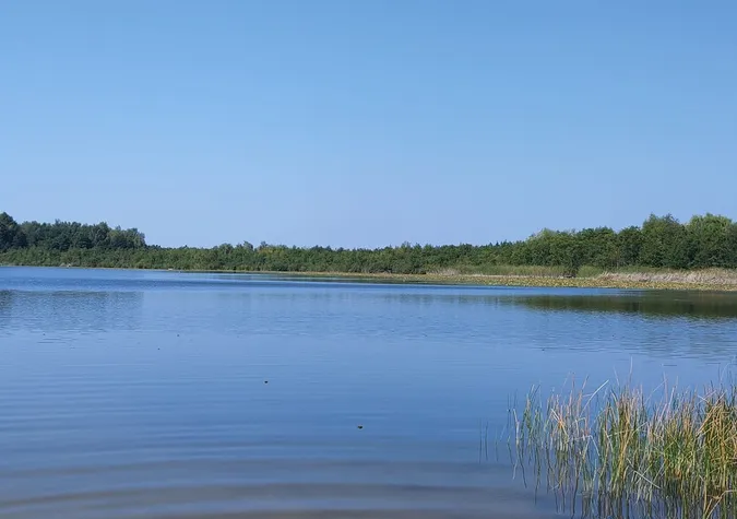 Неглибоке і тепле: де на Волині є озеро з чистою водою (фото)