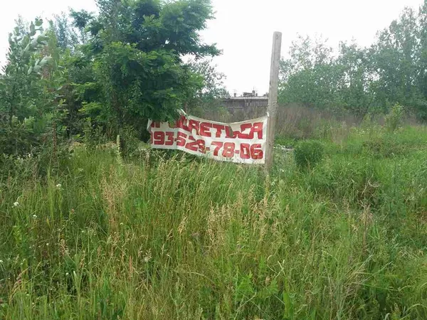 Муніципали перевірили, як косять траву у Луцьку (фото)