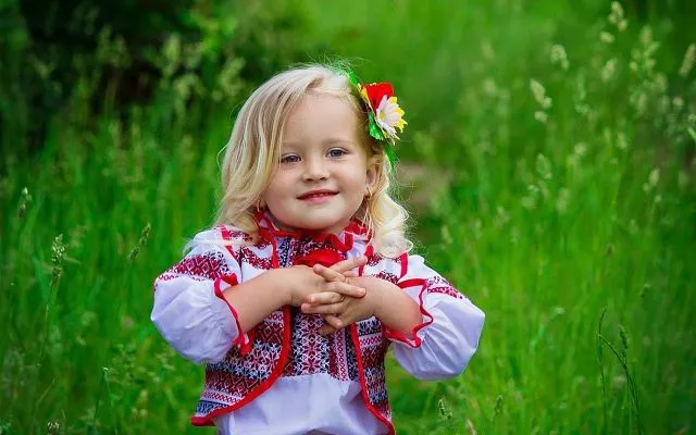 МЗС опублікувало добірку вітань діаспори з Днем Незалежності (відео)