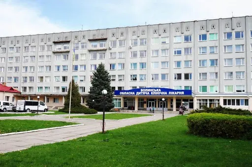 Повідомили про стан батька і 5-річного сина, яких уразило струмом в селі біля Луцька