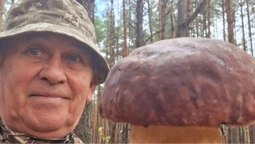 У волинському лісі грибник знайшов боровика-гіганта (фото)