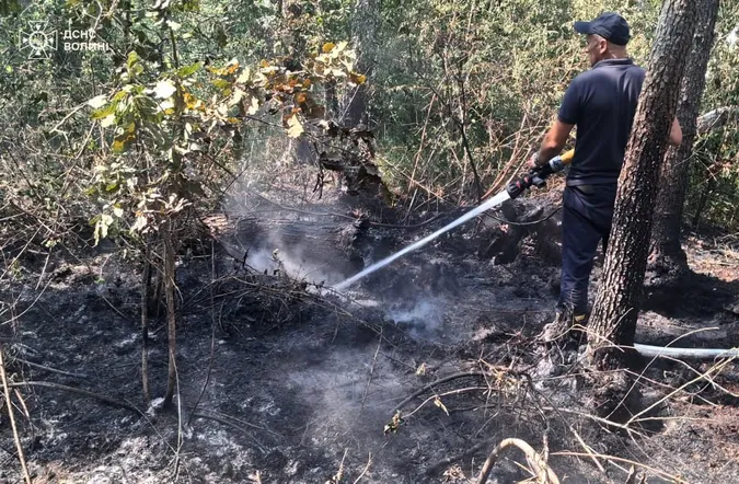 Горіли суха трава, торфовища та лісова підстилка: на Волині за добу ліквідували 9 займань (фото)