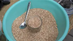 Скільки на ринку у Луцьку просять за кутю (відео)