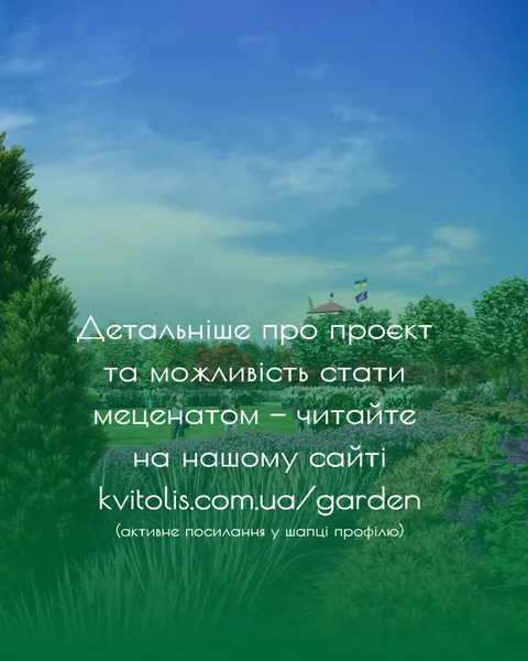 На Волині створюють Сад українства із млином, тисячами квітів та фуд-кортом (фото)