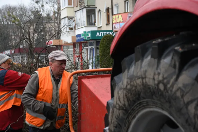 Навіщо на Волі в Луцьку обрізають дерева (фото)