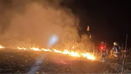 Горіло у трьох районах: на Волині рятувальники ліквідували масштабні пожежі (фото)