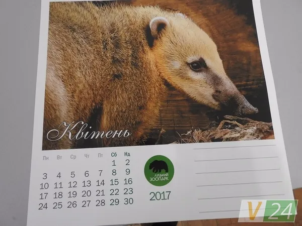«Луцький зоопарк» видав календар зі світлинами своїх мешканців (фото)