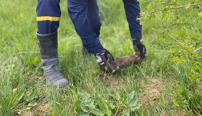 Дві гранати і снаряд: на городах волиняни знайшли боєприпаси (фото)