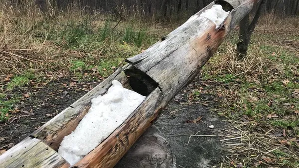 Нова конструкція: у Звірівському лісництві встановили нові годівниці для звірів (фото, відео)
