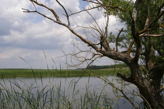 На Волині фірма добувала корисні копалини на чужій землі