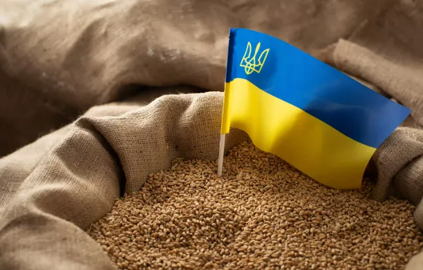 Польські фермери погрожують заблокувати пункт пропуску «Ягодин – Дорогуськ»