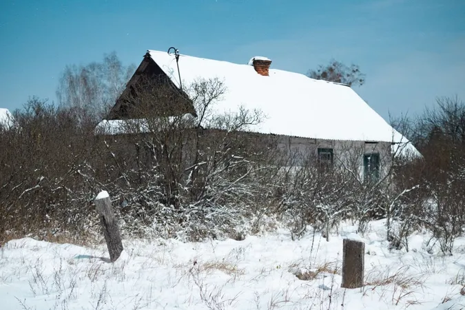 Як в дитинстві у бабусі: волинське село під покровом снігу (фото)