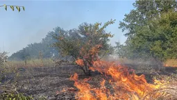На Волині через паління сухостою та трави загинуло двоє людей (відео)