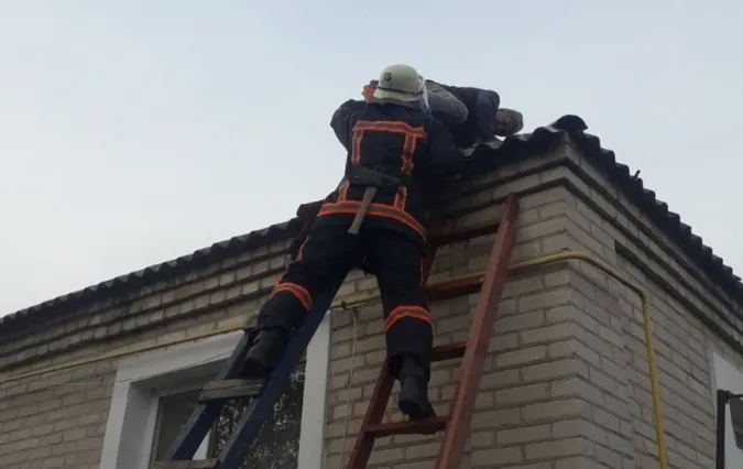 Не міг злізти: волинські рятувальники зняли з даху чоловіка (фото)