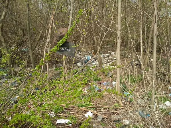 Луцький депутат два роки бореться проти стихійного сміттєзвалища (фото)