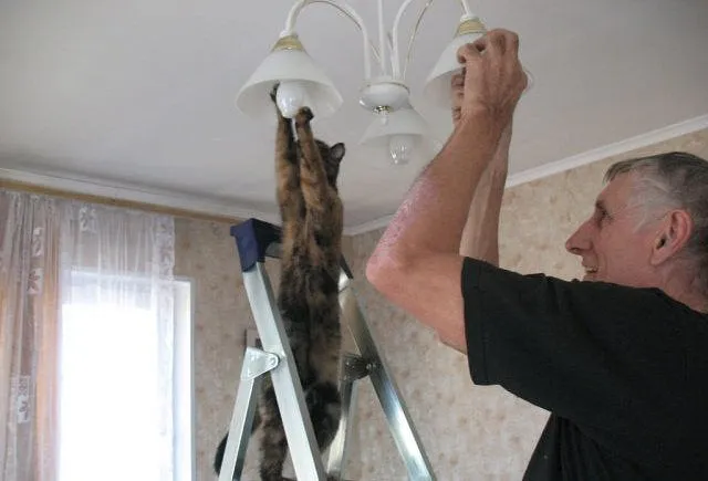 Де у Луцьку не буде світла у вівторок, 17 серпня