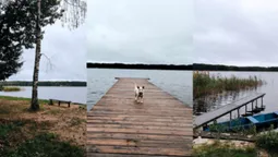По-осінньому захмурене: показали краєвиди популярного на Волині озера (фото)