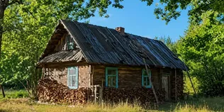 20 років була єдиною жителькою: що залишилося від хутора Оптова на Волині (відео)