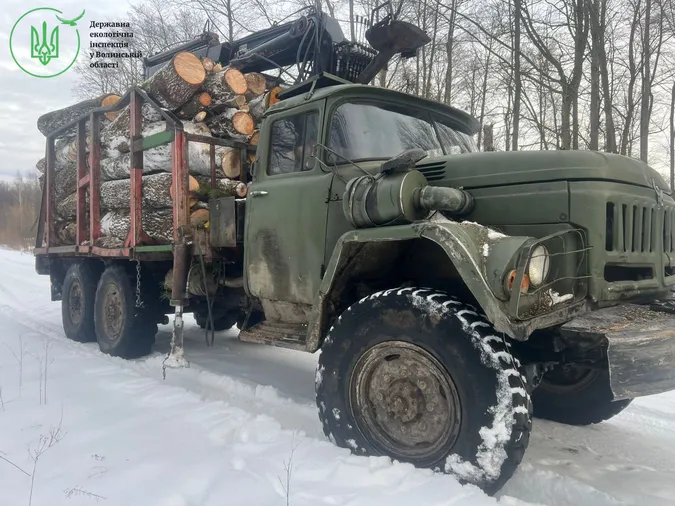 У заповіднику «Цуманська пуща» різали й вивозили ліс без документів (фото)