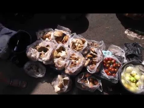 Які гриби продають у Луцьку і скільки вони коштують (відео)