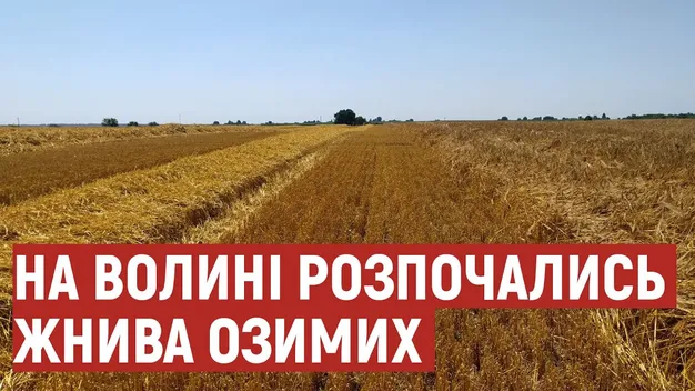 На Волині розпочали сезон жнив