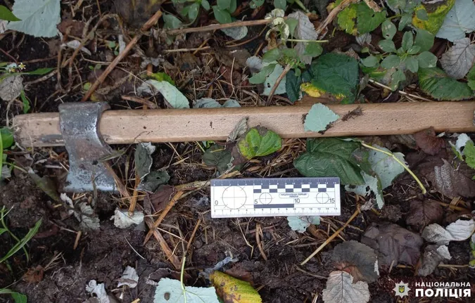 На Рівненщині 43-річний чоловік вбив матір сокирою (фото)