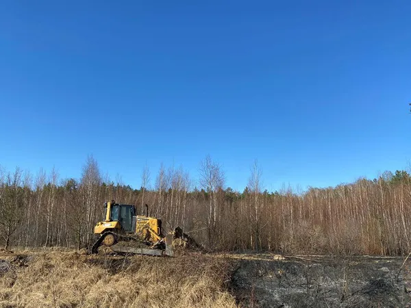 Шкода від лісових пожеж більша, ніж від незаконних рубок, – головний лісівник Волині (фото)