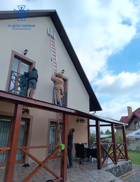 На Волині рятувальники ліквідували три гнізда небезпечних комах (фото)