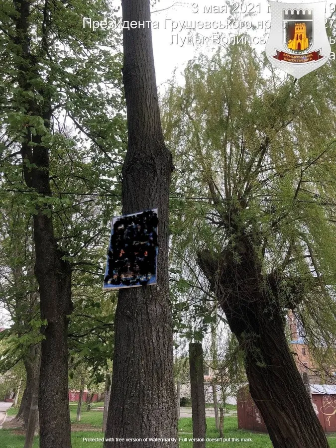 У Луцьку змусять винуватців зняти рекламу зі стовпів та дерев (фото)