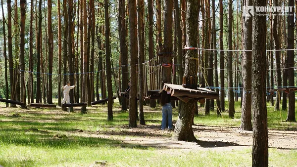 Де безпечно відпочивати з дітьми: ДП «Ліси України» запускає другий етап проєкту «Вікно у ліс»