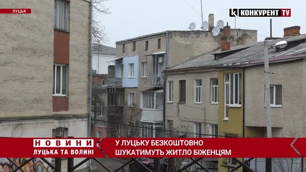 Луцькі ріелтори готові безкоштовно шукати житло біженцям (відео)