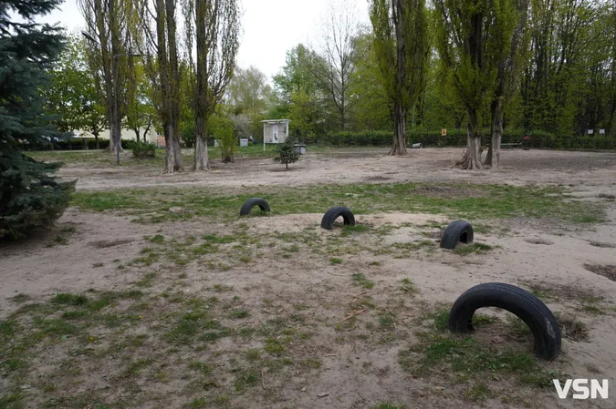 У Луцьку визначили 11 місць для вигулу собак: адреси (фото)