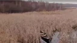 Світязю залишилося 50 років: вчені пояснили, куди зникає вода (відео)