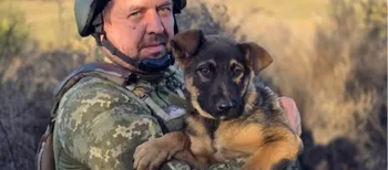 Наймолодший у строю: пес Шустрий живе поруч із волинськими прикордонниками (фото)