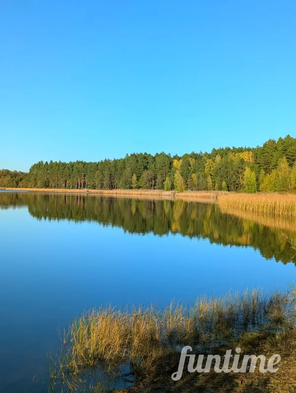 За 90 км від Луцька серед лісу причаїлось тихе неглибоке озеро неймовірної краси (фото, відео)