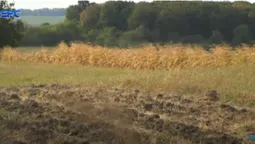Через воєнний стан волинянин не може забрати паї в орендаря (відео)