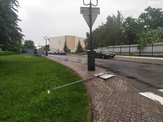 Вітер повалив дерево і дорожній знак у центрі Луцька (фото)