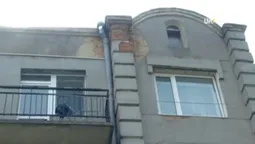 Цвіль і грибок: лучани просять відремонтувати будинок в центрі міста