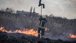 Горіло у кожному районі: на Волині – 31 пожежа (фото)