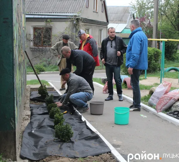 Було б бажання: у Луцьку впорядкували двір (фото)
